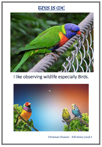 White document with two pictures of colourful birds. Words say:  This Is Me: 'I like observing wildlife especially Birds.' Christian Chanter - ICT Entry Level 3