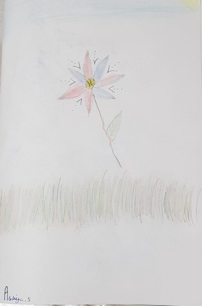 Pencil drawing of a blue and red flower on some grass. There is a blue sky at the top of the page and a yellow sun in the top righthand corner.  By Assiya, 5 