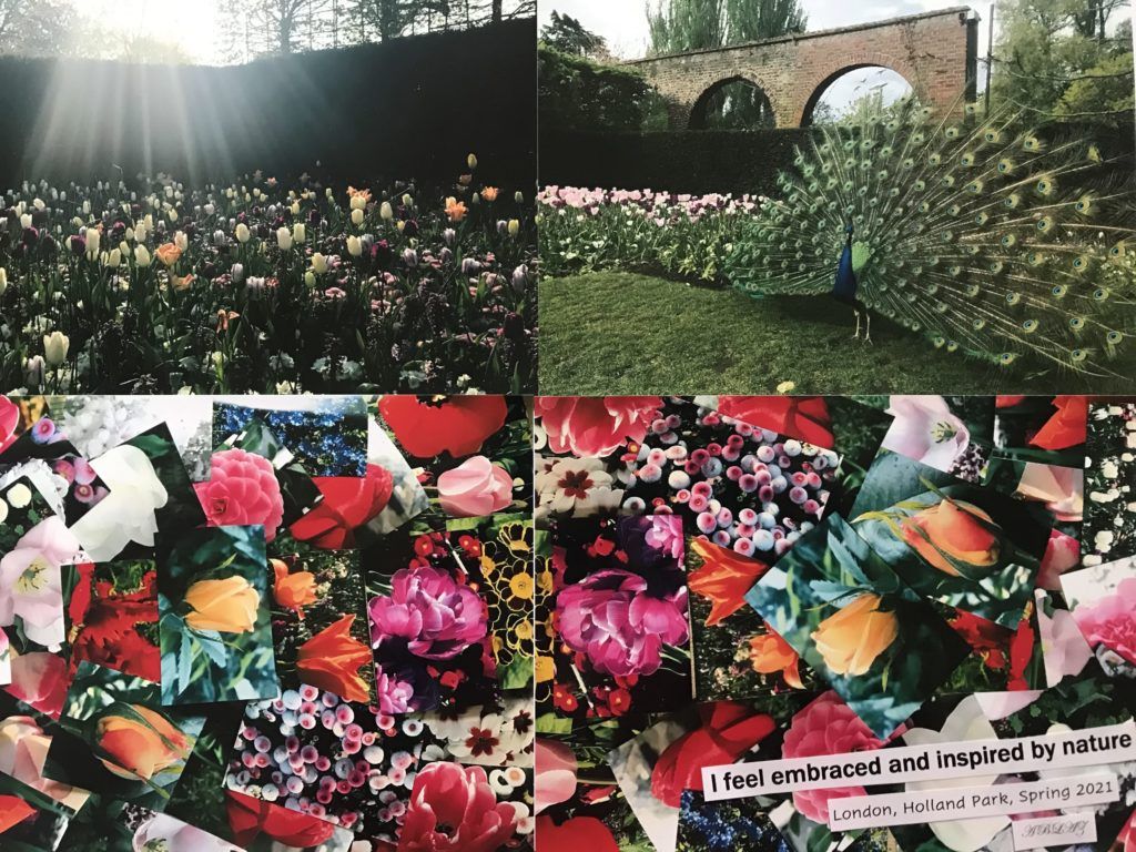 Four images - two on top and two below.  The first two show tulips in a field and a male peacock showing all his feathers.  The bottom two show a collage of flowers.  Text pasted on says "I feel embraced and inspired by nature. London, Holland Park, Spring 2021" 