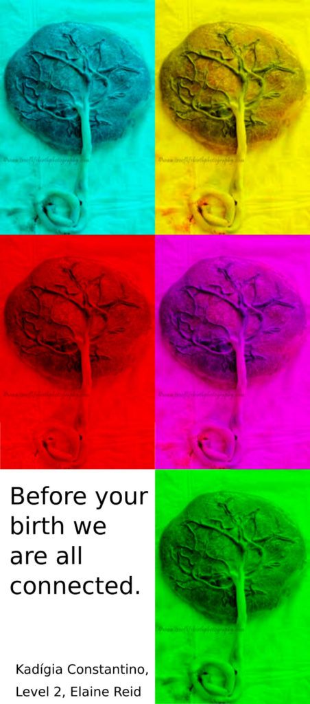 Digital image of five differently coloured placentas. Text reads: 'before your birth we are all connected.'  Kadigia Constantino Level 2, Elaine Reid